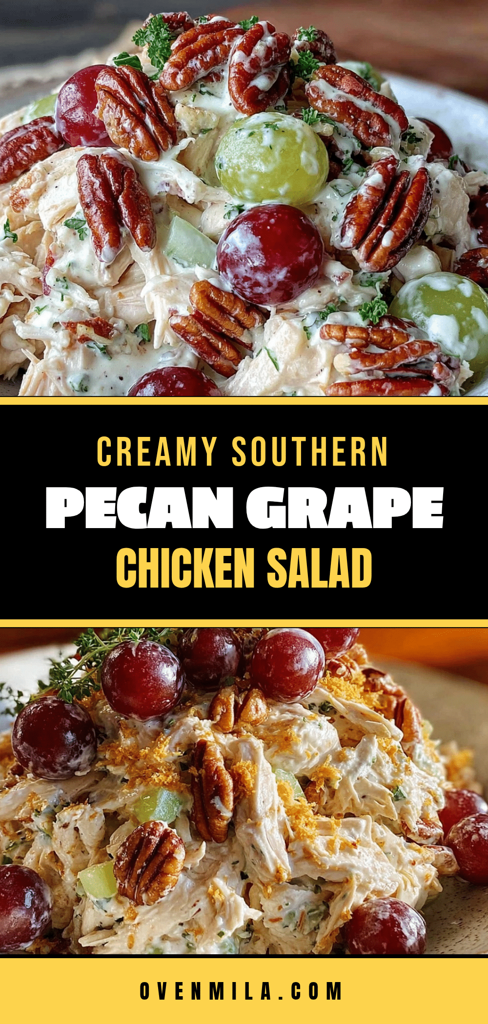 Creamy Southern Pecan Grape Chicken Salad recipe