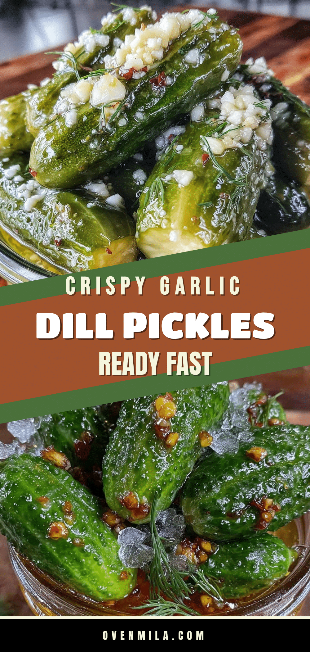 crispy garlic dill refrigerator pickles recipe
