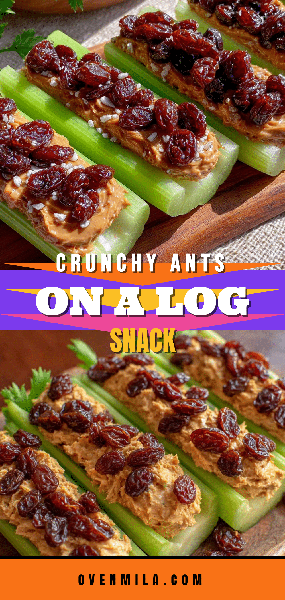 fresh ants on a log recipe recipe