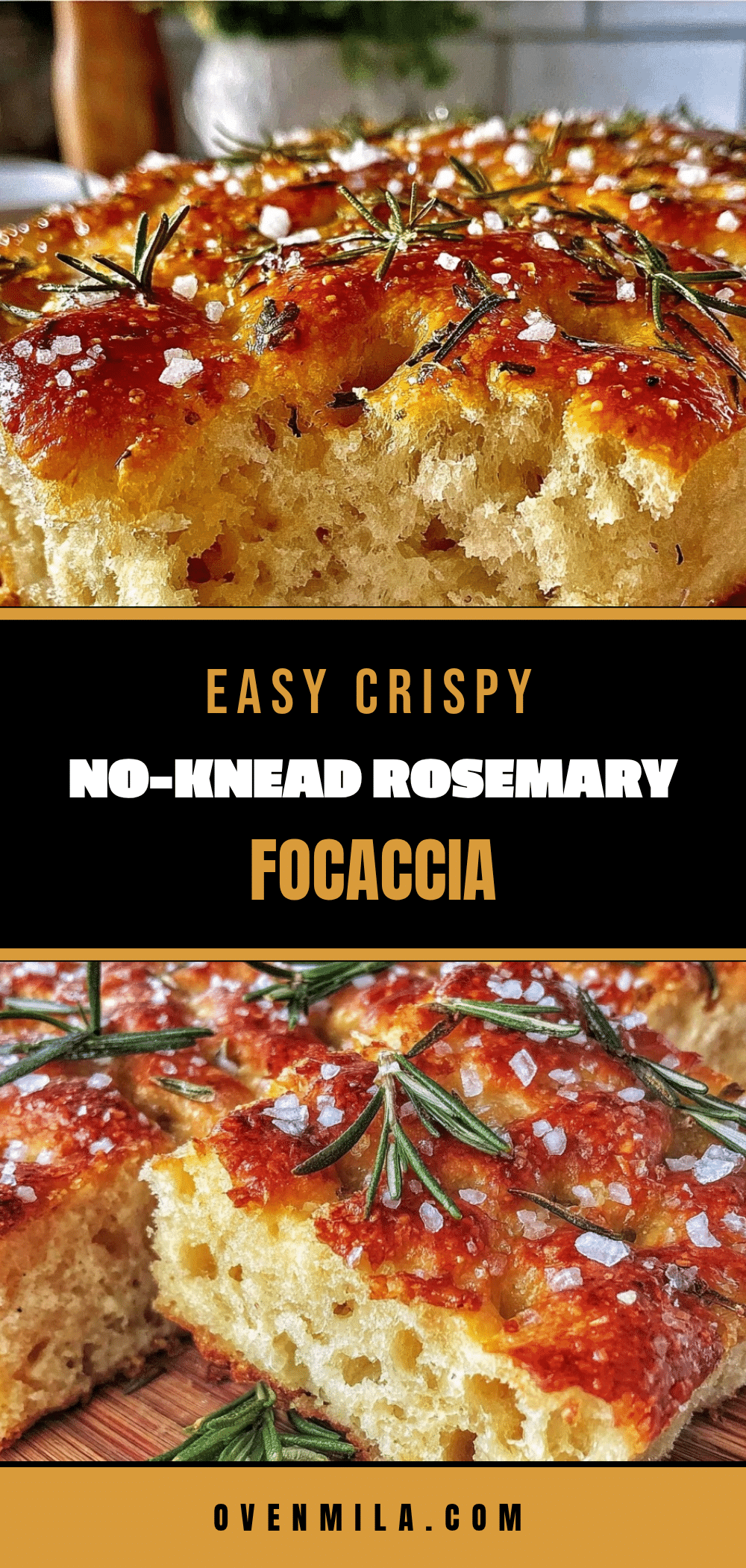 no-knead rosemary sea salt focaccia recipe