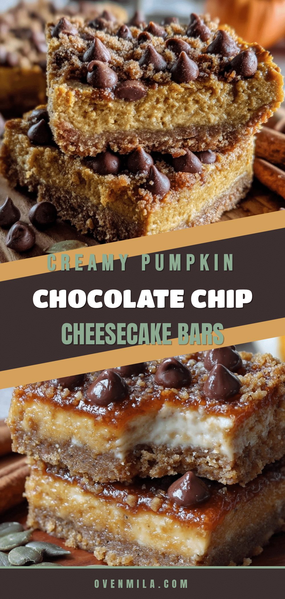 pumpkin chocolate chip cheesecake bars recipe