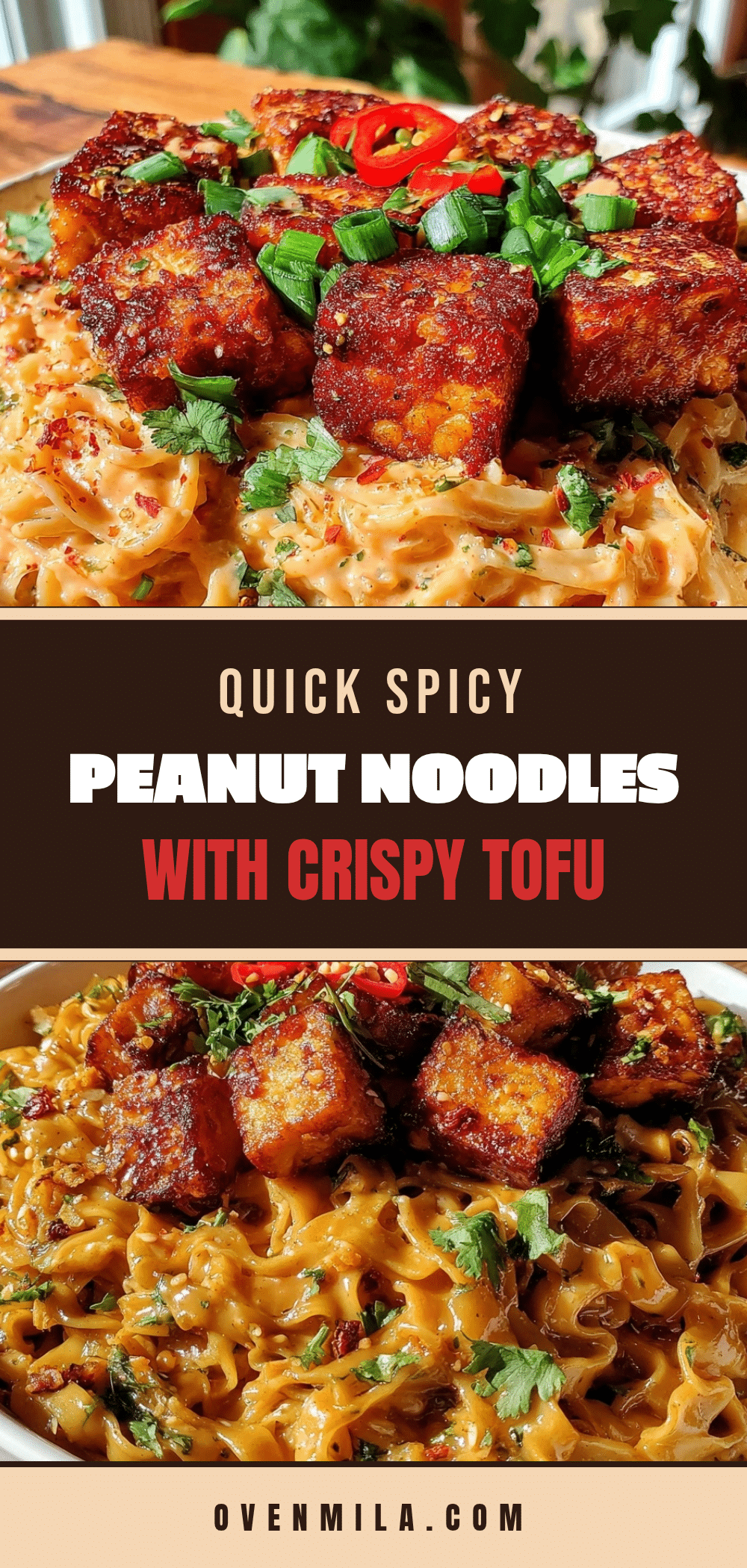 quick spicy peanut noodles with crispy tofu recipe
