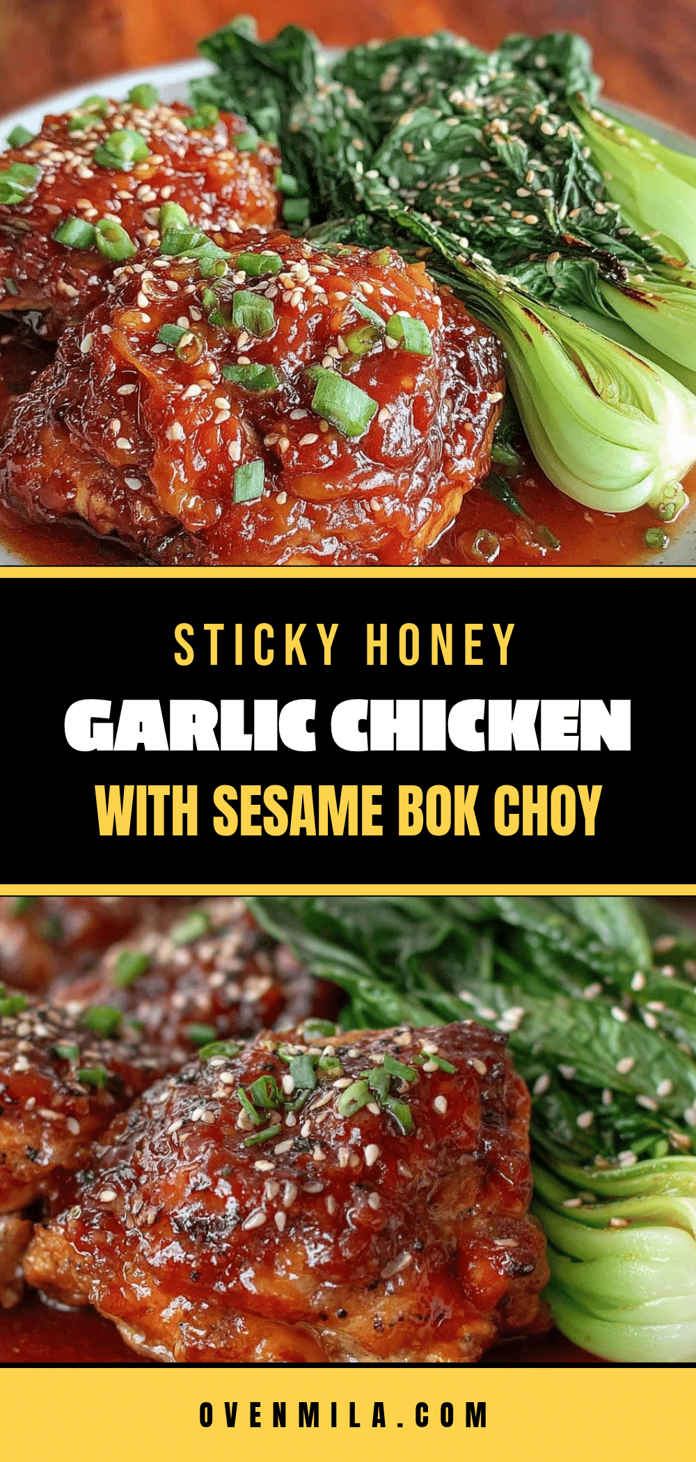 slow cooker honey garlic chicken recipe