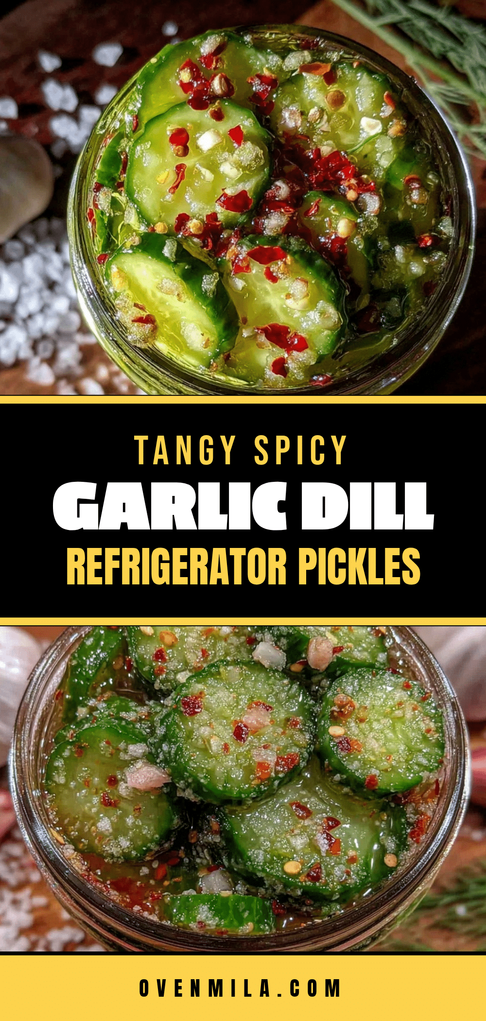 spicy garlic dill refrigerator pickles recipe