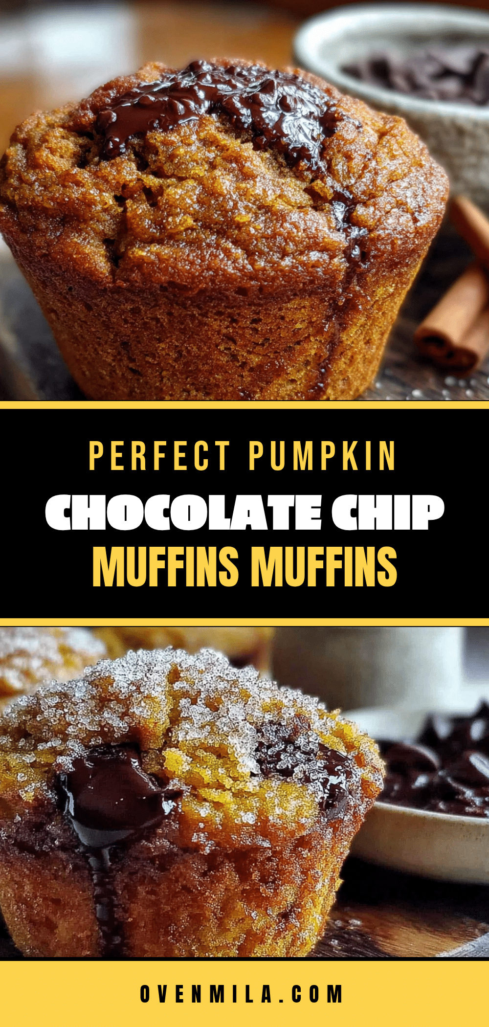 small-batch pumpkin chocolate chip muffins recipe
