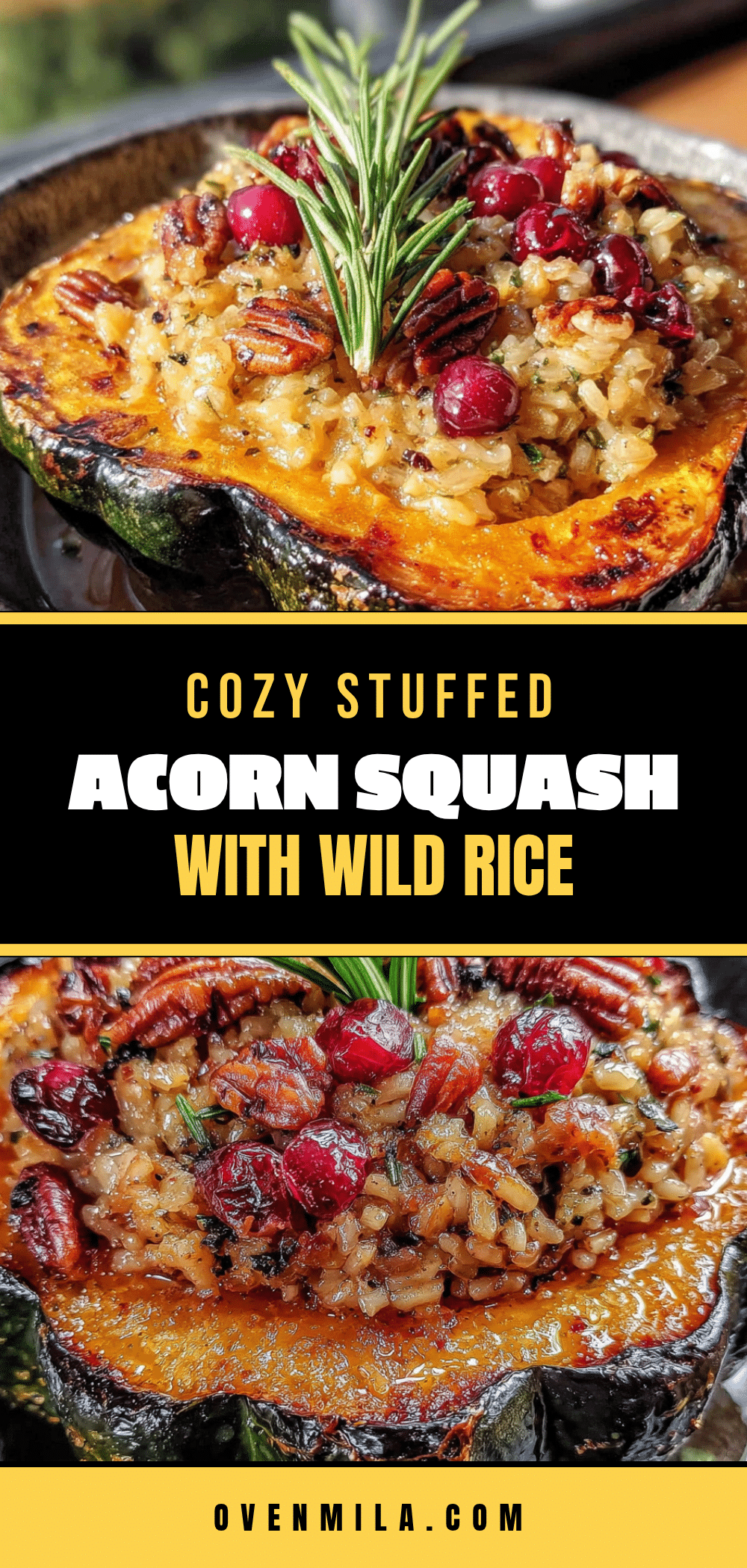 stuffed acorn squash recipe
