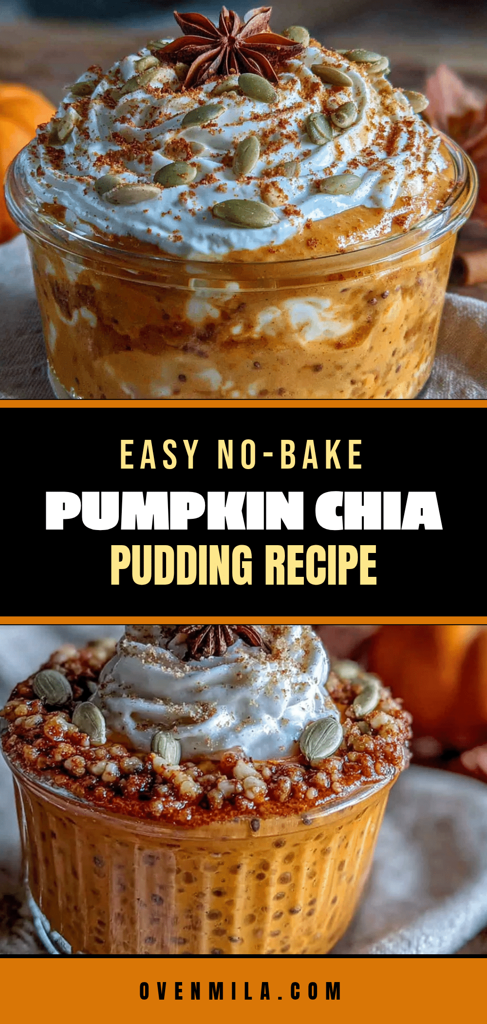 creamy no-bake pumpkin chia seed pudding recipe
