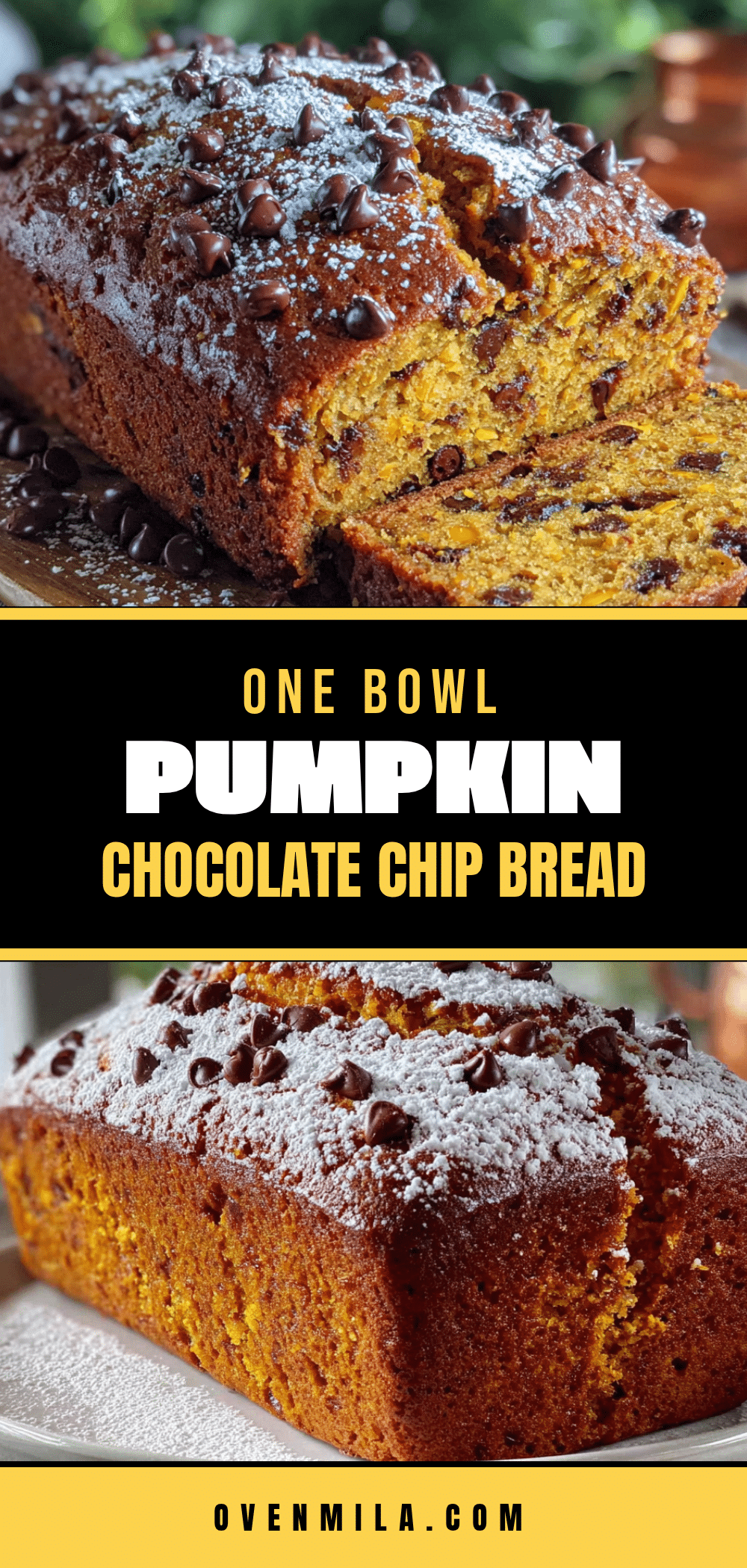 pumpkin chocolate chip bread recipe