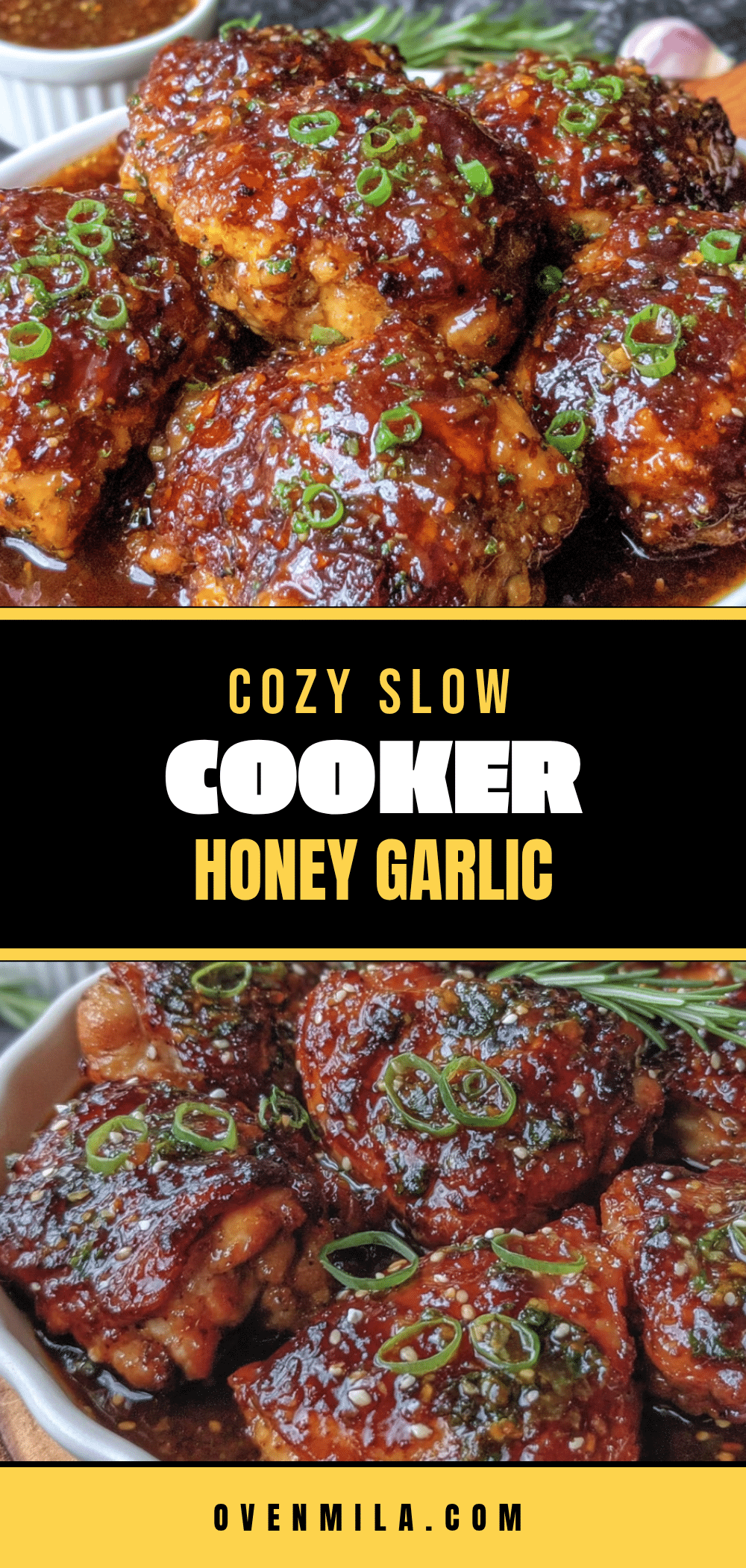 slow cooker honey garlic chicken thighs recipe