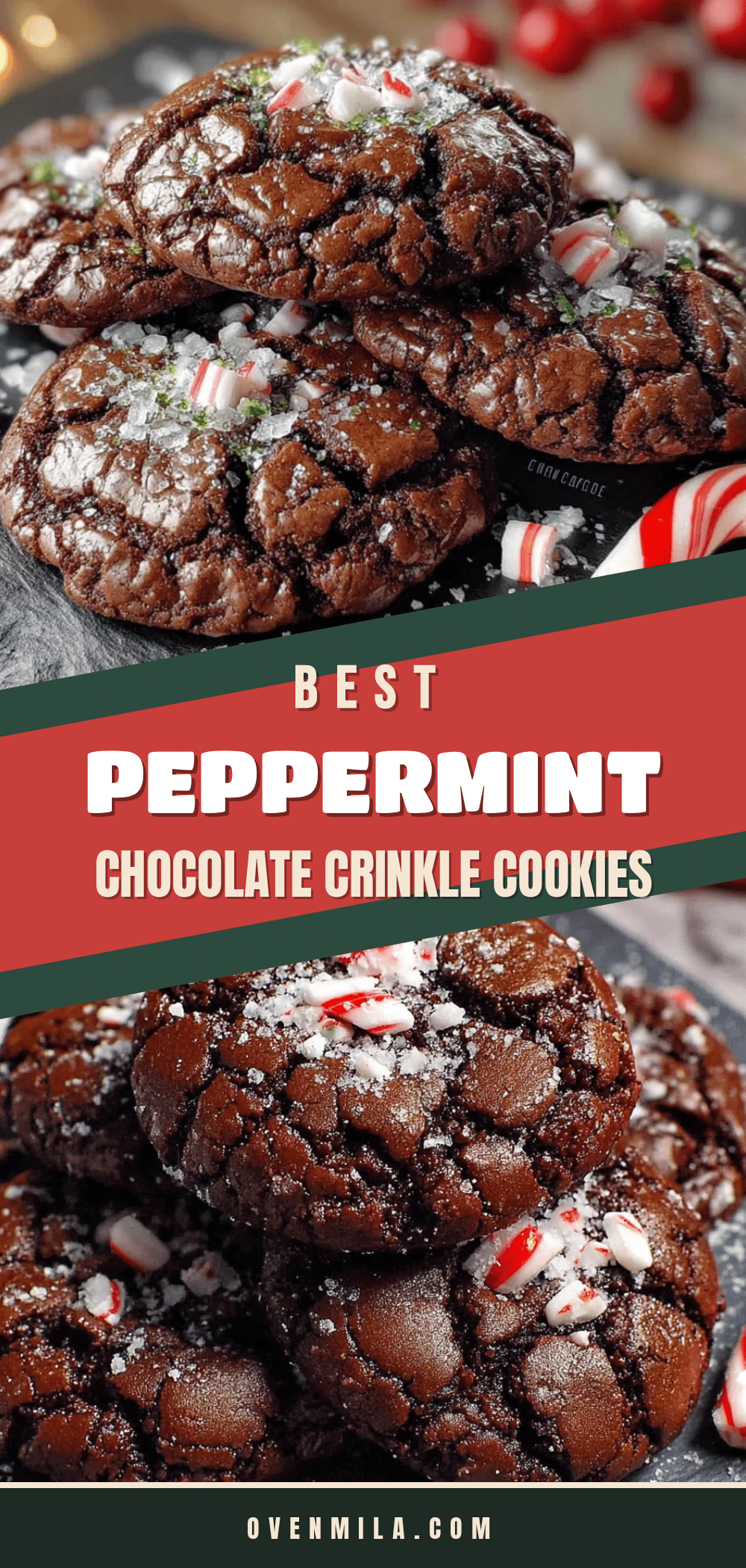 peppermint chocolate crinkle cookies recipe